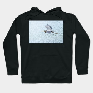 heron Hoodie